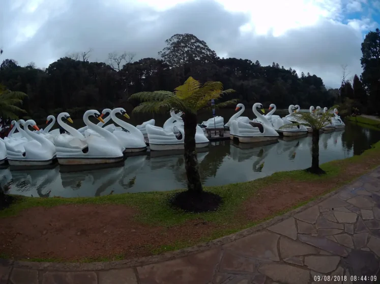 Pedalinhos no Lago Negro em Gramado