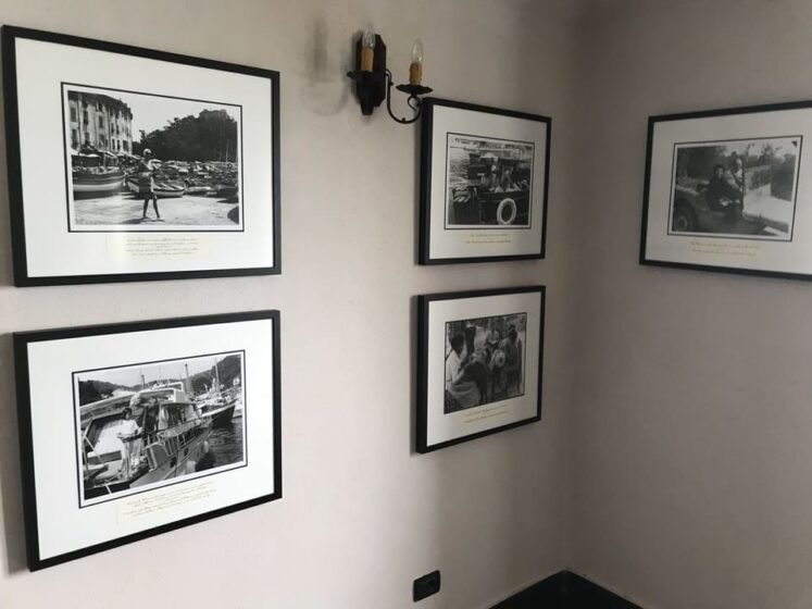 Memorias - Castelo Brown