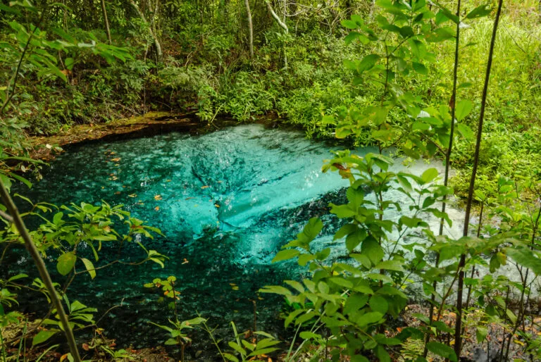 viajar sozinho viajar sozinho
